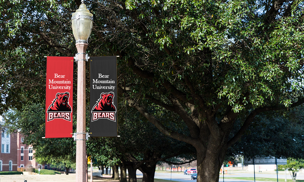 Custom Outdoor Pole Banner