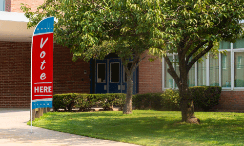 Election Feather Flag